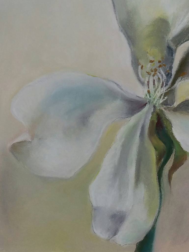 Original Other Floral Drawing by Helena Min