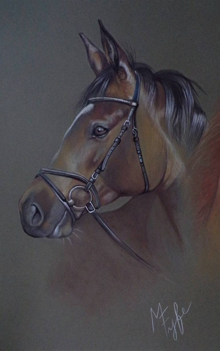 Original Realism Animal Drawing by Marika Fyfe