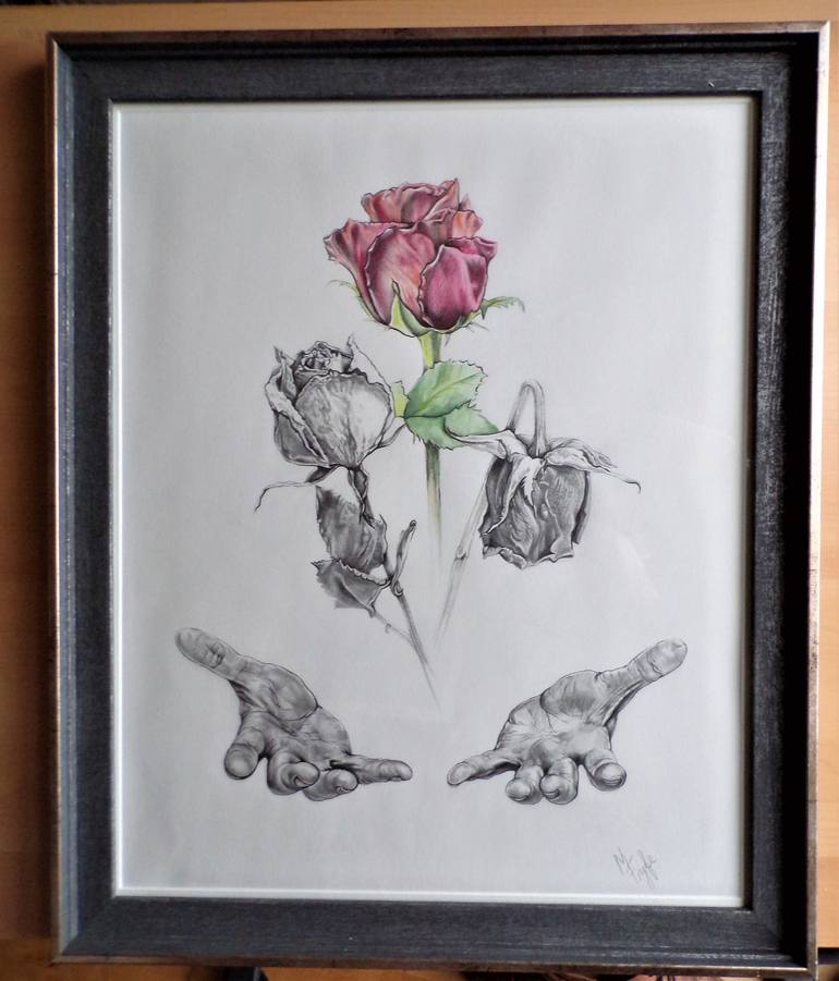 Original Realism Nature Drawing by Marika Fyfe