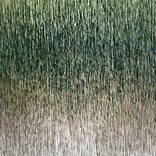 Collection Trending Now: Abstracts