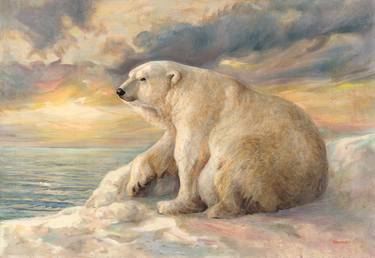 Polar Bear Rests On The Ice - Arctic Alaska thumb