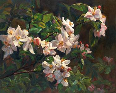 Original Fine Art Botanic Paintings by Svitozar Nenyuk