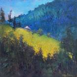 In the mountains by Vitalita Forostovets