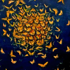 Collection Swarm: Devan Horton