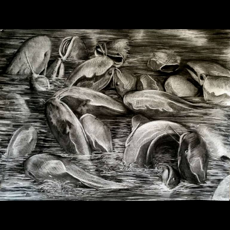Fish Swarm Drawing by Devan Horton | Saatchi Art