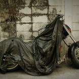 Abandonned by Yves Hernot