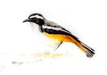 Original Conceptual Animal Paintings by Andre Olwage