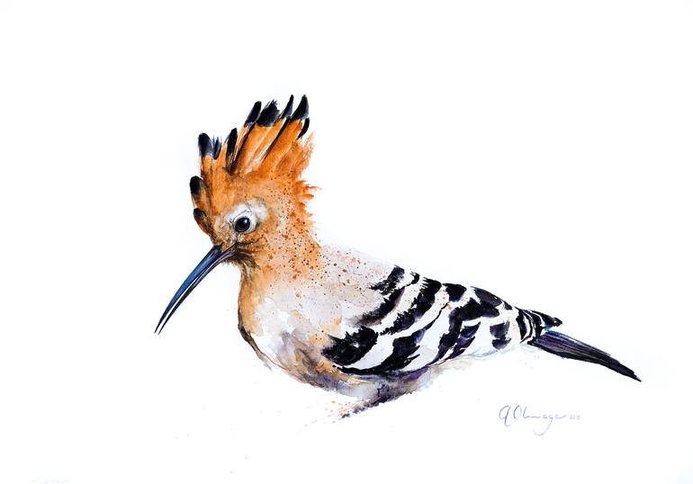 African Hoopoe Painting by Andre Olwage | Saatchi Art