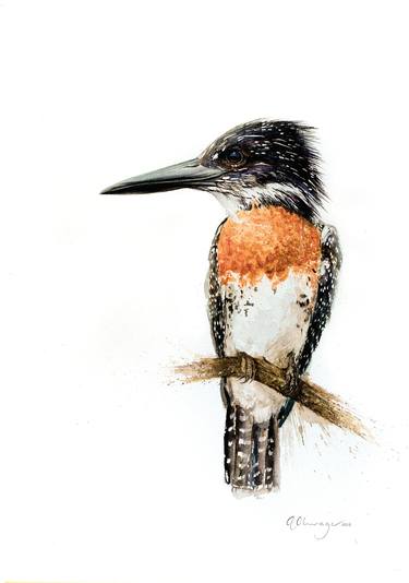 Print of Animal Paintings by Andre Olwage