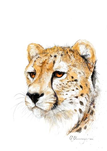 Print of Realism Animal Paintings by Andre Olwage