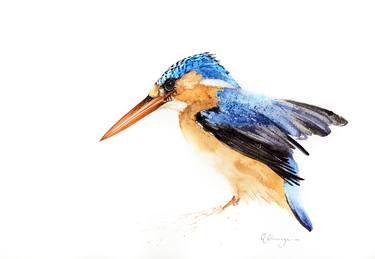 Print of Realism Animal Paintings by Andre Olwage