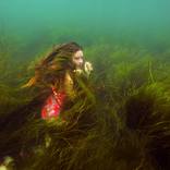 Hidden by Jenny Baumert