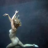 The Fall by Jenny Baumert