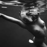 The Art of Movement by Jenny Baumert