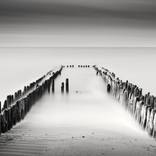 Edition of 10 - Four Lines, Germany 2012 by SILVERFINEART EDITIONS