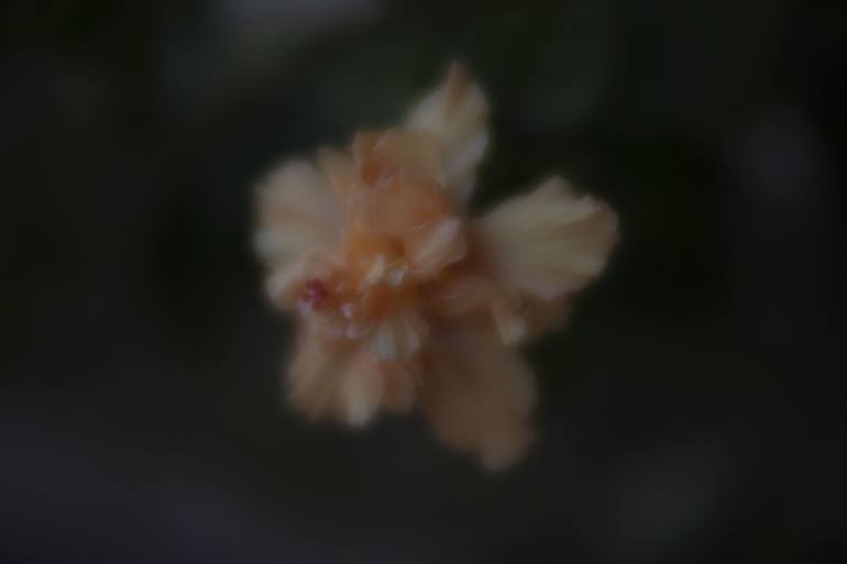 Slide undefined