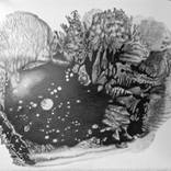 BIOTOPE 2 by Agnès Antonio