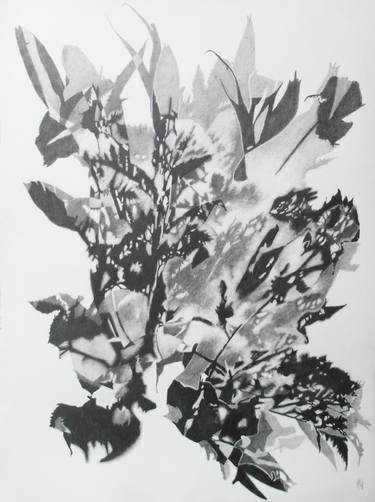 Original Floral Drawings by Agnès Antonio