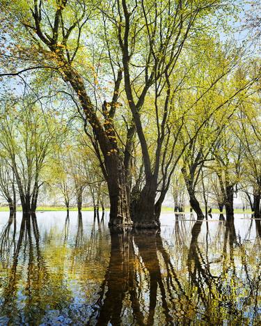 Original Photorealism Nature Photography by Janusz Wrobel