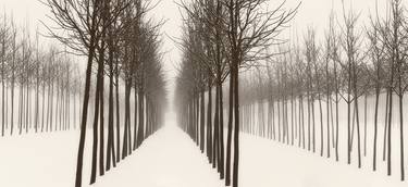 Original Fine Art Landscape Photography by Janusz Wrobel