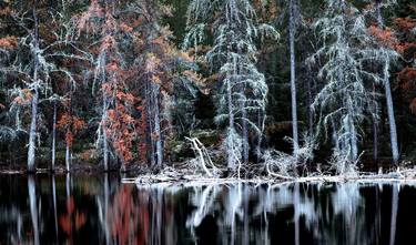 Original Fine Art Landscape Photography by Janusz Wrobel