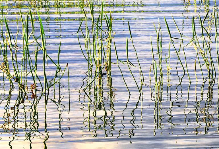 Original Water Photography by Janusz Wrobel