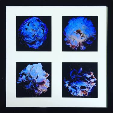 Pin Pricked Peony Quadriptych - Edition 2 of 25 thumb