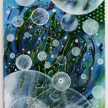 Bubbles and Kelp by Clifford Eberly