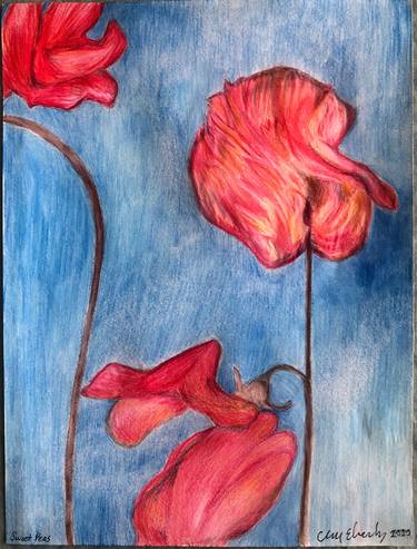 Original Fine Art Floral Drawings by Clifford Eberly