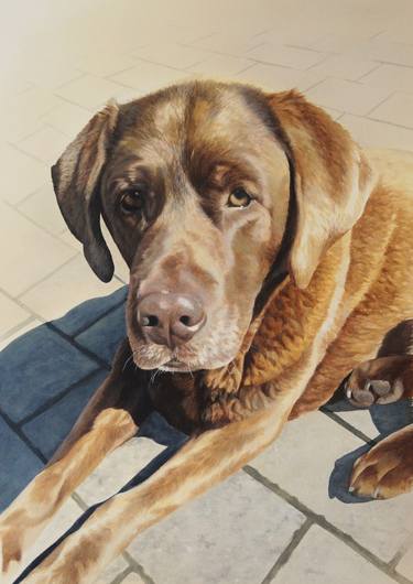 Original Realism Dogs Paintings by Julian Wheat