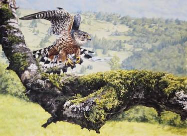 Original Animal Paintings by Julian Wheat