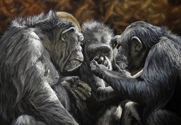 Chimpanzee Altruism thumb
