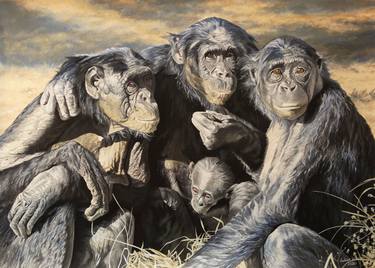 Four generations,Chimpanzees thumb