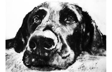 Print of Fine Art Dogs Drawings by Oscar Jetson