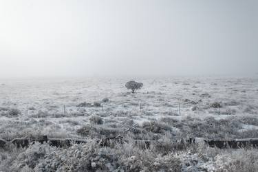 Print of Minimalism Seasons Photography by Ryan C Jones