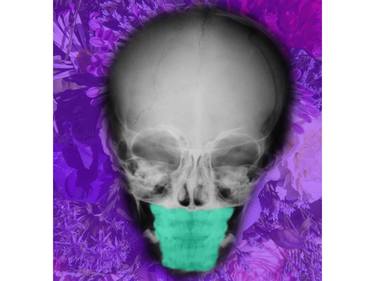 Saatchi Art Artist Jill Martinez; Mixed Media, “Skull III - Limited Edition 1 of 1” #art