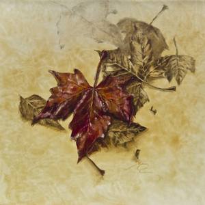 Collection Fallen Leaves