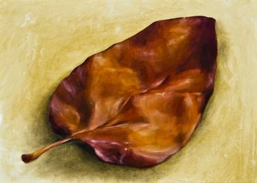 fallen quince leaf thumb
