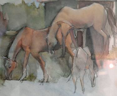 Original Horse Paintings by Lynn Matsuoka