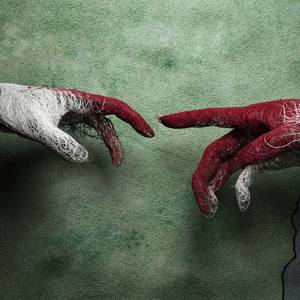 Collection Familiar Pairs