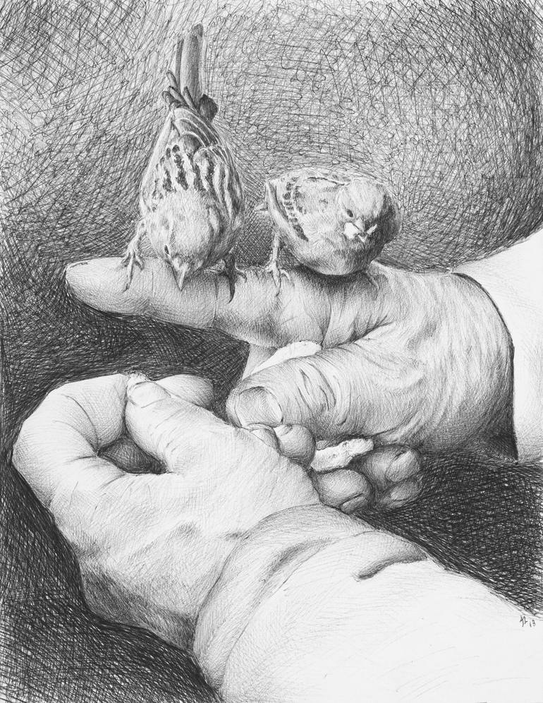 The Bird Feeder Drawing by Alexander Lisman Saatchi Art