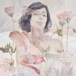 If I do not have Love, I am Nothing by Agnes Toth