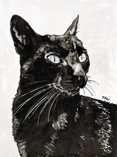 Print of Cats Drawings by Marika Tali