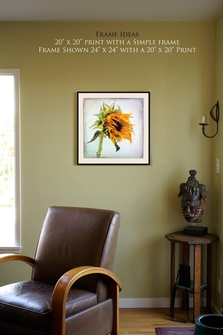 Original Other Floral Photography by Russell Knight