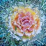 Pink and Green form by Harvey Taylor