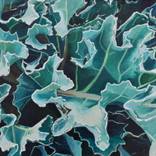 Kale part 2 by Harvey Taylor