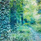 Trees by Harvey Taylor