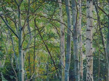 Original Landscape Paintings by Harvey Taylor