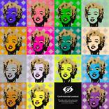 Controversial Marilyn by Mr AK