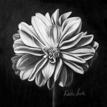 Print of Realism Floral Drawings by Debbie Smith